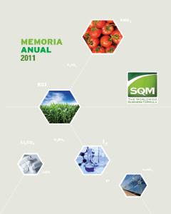 Memoria Anual 2011